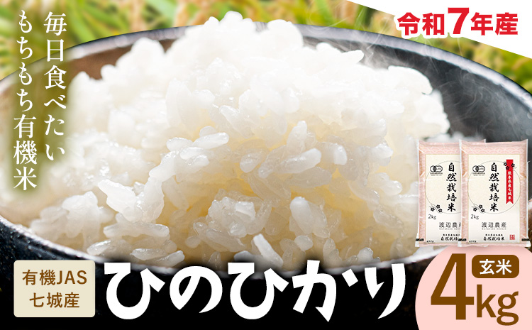 令和7年産 有機JAS 七城産ひのひかり 玄米 4kg 《30日以内に出荷予定(土日祝除く)》渡辺農産熊本県 菊池市 米 お米 精米 ひのひかり 菊池市産 熊本県産 九州産 送料無料