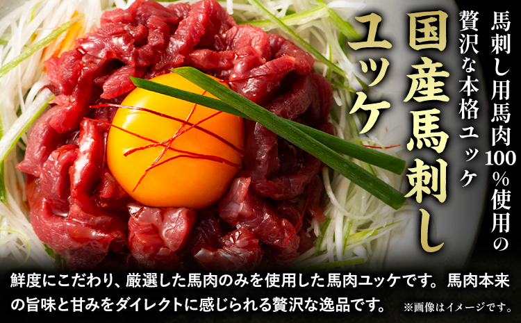馬刺し 熊本県産 馬刺し ユッケ ネギトロ 食べ比べ セット 亀井通産株式会社《30日以内に出荷予定(土日祝除く)》 熊本県 菊池市 肉 馬肉 国産 ユッケ 馬 ふじ馬刺し セット 食べ比べ