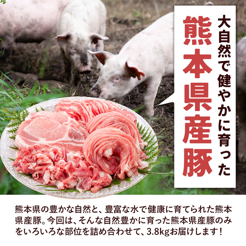熊本県産 豚肉 詰め合わせ 合計3.8kg 植田商事有限会社 《90日以内に出荷予定(土日祝除く)》 熊本県 菊池市 ローススライス 肩ロースしゃぶしゃぶ用もしくはバラ焼肉用 モモスライス スペアリブ 詰め合わせ 食べ比べ セット お肉 冷凍 国産 送料無料