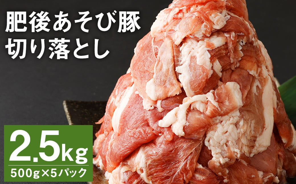 肥後 あそび豚 切落し 計2.5㎏（500g×5パック） 国産 豚肉 【2025年1月上旬より順次発送】