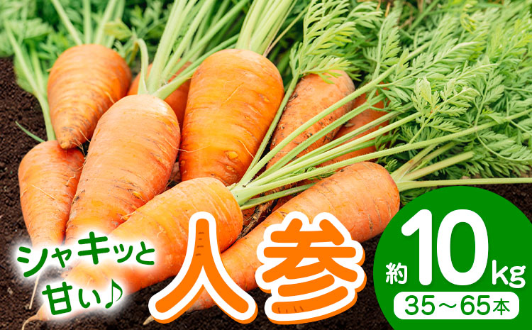 【先行予約】人参 約10kg(35-65本) 日本フルーツ株式会社《2026年4月上旬-6月上旬頃出荷》熊本県 菊池市 にんじん ニンジン 野菜 熊本県産
