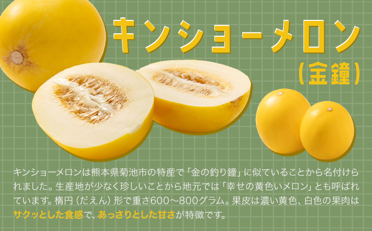 キンショーメロン 2kg(3〜6玉) メロン《4月上旬-7月上旬頃出荷》熊本県 菊池市 果物 フルーツ 金鐘 ノーネットメロン 黄色いメロン 菊池市産 熊本県産 九州産 送料無料
