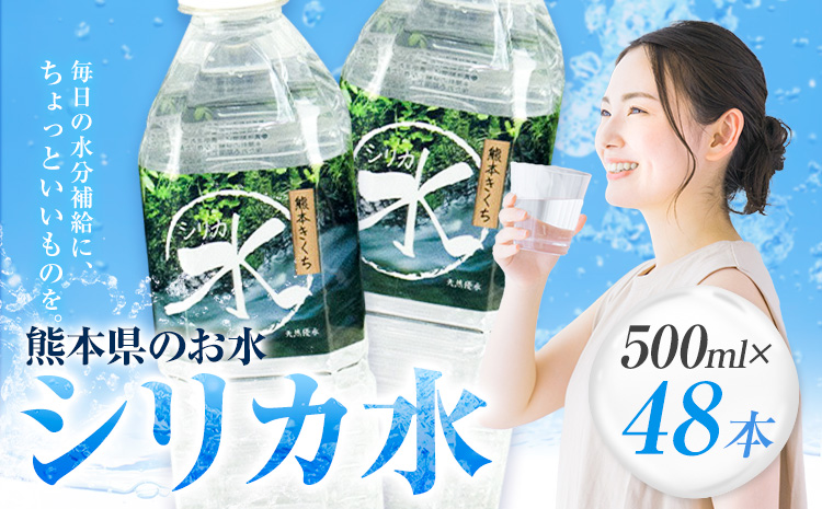 水 シリカ水 500ml × 48本 有限会社七城町特産品センター メロンドーム 《30日以内に出荷予定(土日祝除く)》 熊本県 菊池市 水 軟水 飲料 ドリンク 清涼飲料水 天然地下水 ペットボトル ミネラルウォーター 定期便 送料無料
