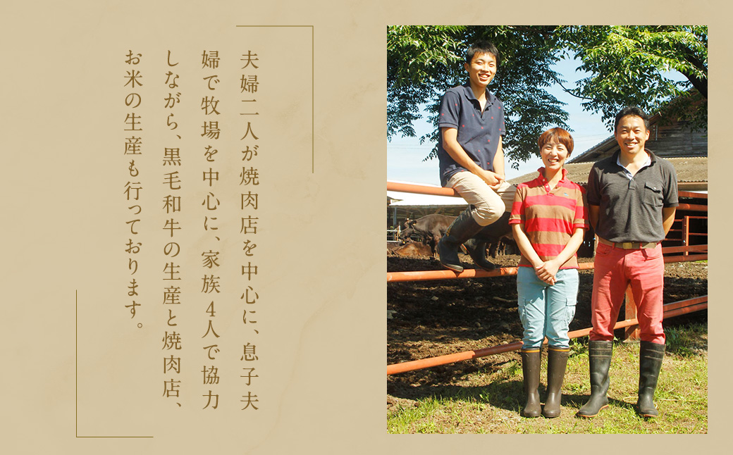 熊本県産 黒毛和牛 ヒレ・シャトーブリアン ステーキ 計約450g（150g×3枚）国産 牛肉