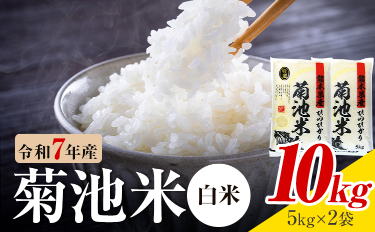 令和7年産 熊本県産 菊池米 白米 10kg 1袋5kg 株式会社くまもとごはん 《30日以内に出荷予定(土日祝除く)》米 お米 令和7年産 九州産 熊本県産  送料無料