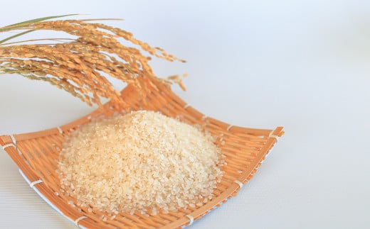 有機JAS 米 使用 玄米粉 3kg(1kg×3袋)