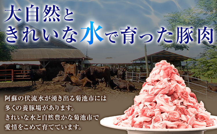 豚肉 切り落とし 900g 焼肉いしい 株式会社石井牧場《30日以内に出荷予定(土日祝除く)》 熊本県 菊池市 肉 豚肉 焼肉 切り落とし 生姜焼き 肉じゃが
