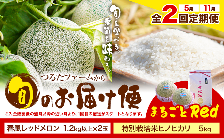 【全2回定期便】つるたファームから旬のお届け便 まるごとRed 特別栽培米 ヒノヒカリ 5kg 春風レッド メロン 2玉 株式会社七城の恵み《メロン5月・米11月出荷予定》熊本県 菊池市 米 メロン ひのひかり 定期便 つるたファーム