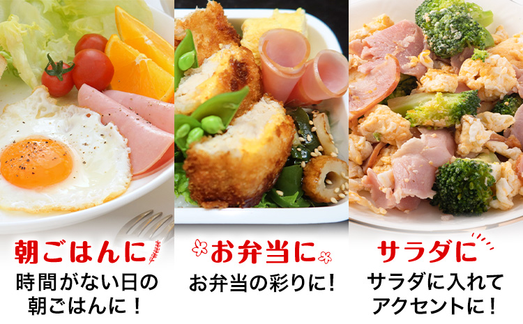 ハム 切り落とし 2.4kg 有限会社ハム工房TONGTONG《90日以内に出荷予定(土日祝除く)》熊本県 菊池市 小分け ハム ロースハム ボンレスハム おかず おつまみ