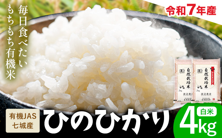 令和7年産 有機JAS 七城産ひのひかり 精米 4kg 《30日以内に出荷予定(土日祝除く)》渡辺農産熊本県 菊池市 米 お米 精米 ひのひかり 菊池市産 熊本県産 九州産 送料無料
