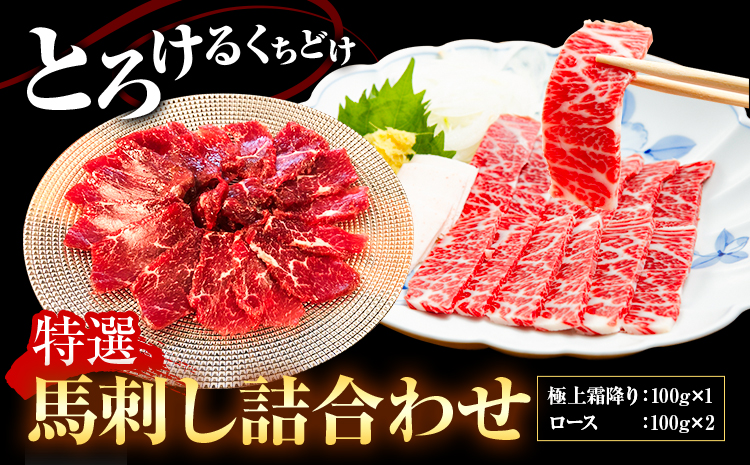 特選馬刺し詰め合わせ Dセット 2種類 合計300g 極上霜降り 100g ロース 100g×2パック 有限会社七城町特産品センター《90日以内に出荷予定(土日祝除く)》熊本県 菊池市 肉 馬肉 馬刺し セット 食べ比べ ブロック 霜降り 送料無料