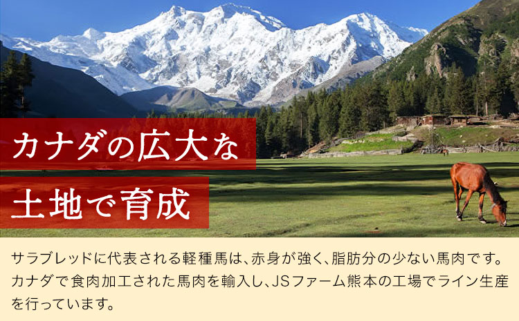 馬刺し赤身 計200g 50g×4パック 熊本直送 株式会社Foody’s《30日以内に出荷予定(土日祝除く)》熊本県 菊池市 馬刺し 赤身 馬肉 肉 お肉