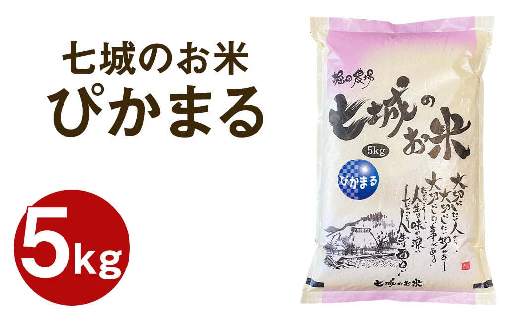 【令和6年産】 七城のお米 ぴかまる 5kg 米 白米 精米 こめ コメ お米 ごはん ご飯 熊本県産