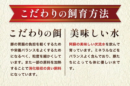 肥後あそび豚 ロースブロック 1kg×2パック 合計 2kg 《30日以内に出荷予定(土日祝除く)》熊本県 菊池市 ぶた ブタ 豚肉 肉 ブランド豚 ロース ブロック 国産 九州産 熊本県産 菊池市産 冷凍 送料無料