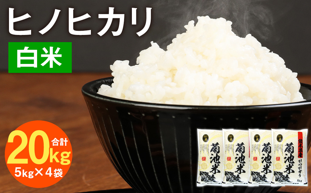 熊本県菊池産 ヒノヒカリ 5kg×4袋 計20kg 精米 お米 白米 令和6年産