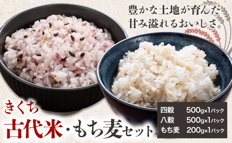 きくち古代米・もち麦 セットA【ファームきくち】 四穀 八穀 500g×1パック もち麦 200g×1パック セット 有限会社七城町特産品センター《90日以内に出荷予定(土日祝除く)》熊本県 菊池市 雑穀米 お米 米 もち麦 菊池市産 熊本県産 九州産