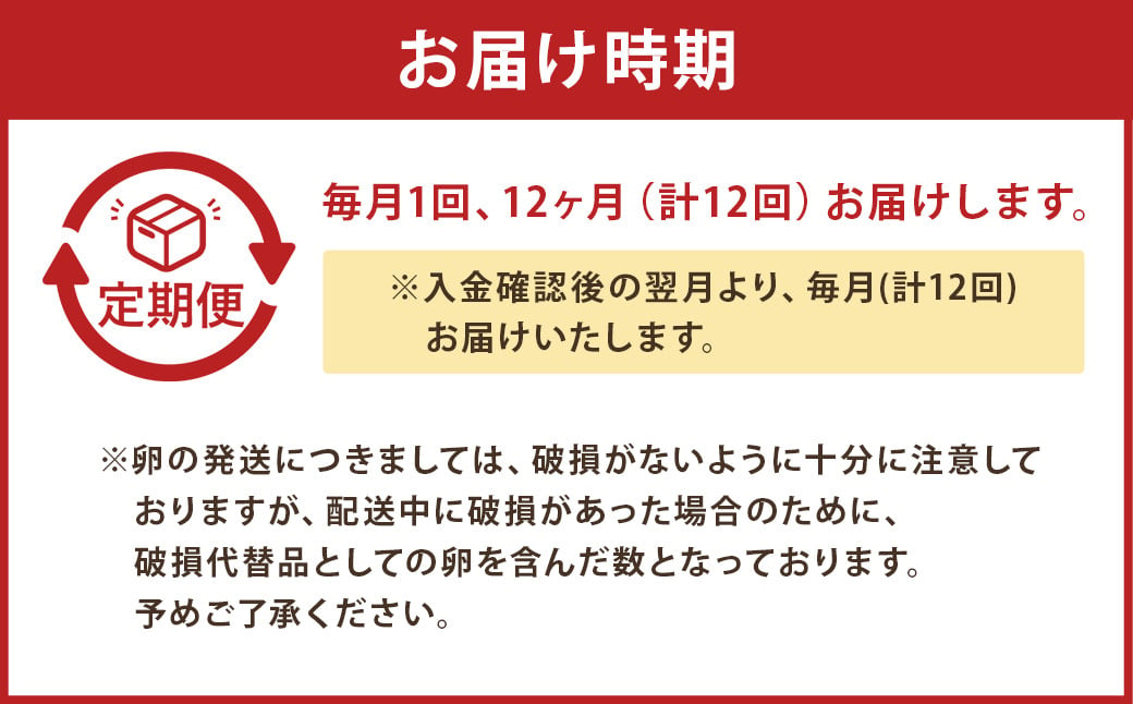 【12回定期便】 にんにくたまご 30個 （1ケース）×12回 合計360個 卵 たまご タマゴ 鶏卵 熊本県産 国産