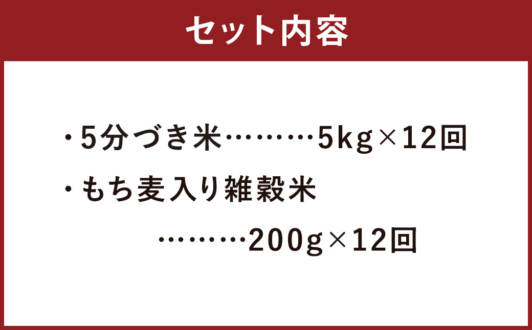 【定期便12ヵ月】熊本県菊池産 ヒノヒカリ 5分づき米 5kg もち麦入り雑穀米 200g 計62.4kg