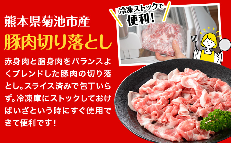 豚肉 切り落とし 合計1.6kg 400g×4パック 有限会社ハム工房TONGTONG《90日以内に出荷予定(土日祝除く)》熊本県 菊池市 豚肉 切落し 小分け 金TONG 九州産 国産 熊本県産