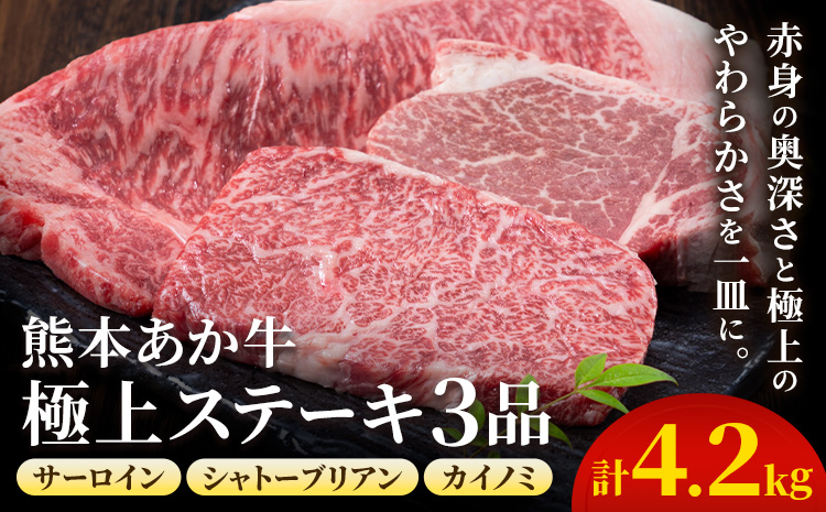 熊本あか牛 極上ステーキ 3品 セット 合計約4.2kg 3種類 サーロイン シャトーブリアン カイノミ 合同会社たべたせいか《30日以内に出荷予定(土日祝除く)》熊本県 菊池市 肉 牛肉 お肉 あか牛 ステーキ 希少部位 詰め合わせ 食べ比べ 熊本県産 冷凍 送料無料