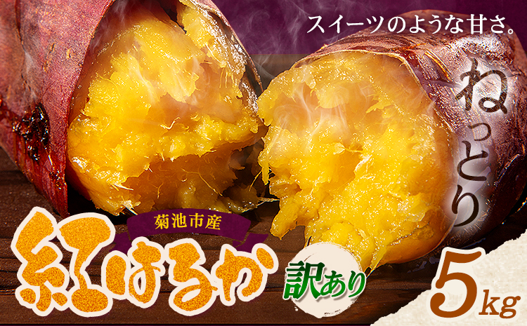 訳あり 紅はるか 約5kg 2S〜3L混合 株式会社Foody’s 《90日以内に発送予定（土日祝を除く）》熊本県 菊池市 訳あり さつまいも 芋 紅蜜芋 焼き芋 野菜 菊池市産 熊本県産 九州産