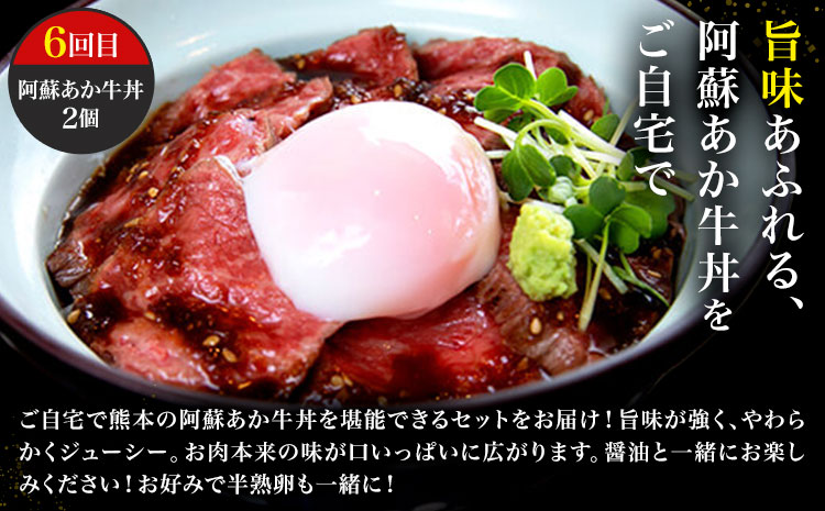 【6ヶ月定期便】阿蘇あか牛満喫セット 株式会社LARKS《お申し込み月の翌月から出荷開始》肉 牛肉 あか牛 ローストビーフ ハンバーグ 冷凍 名物 熊本県 毎月届く 送料無料