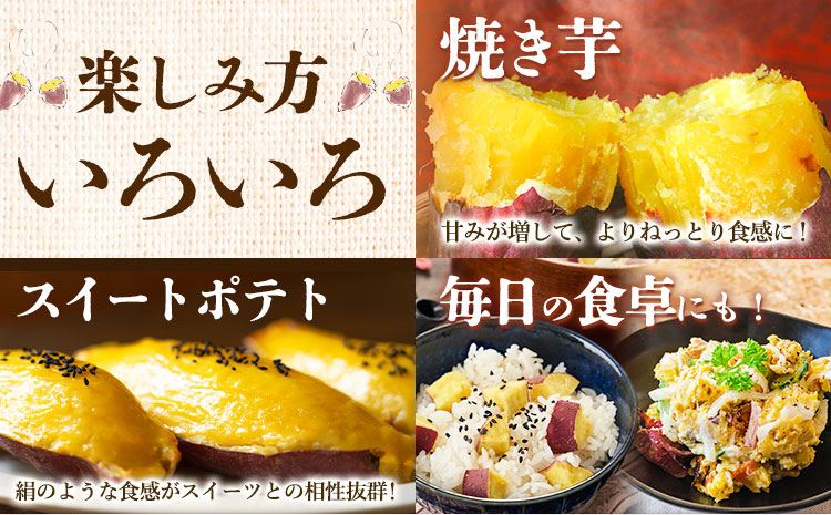 【先行予約】シルクスイート さつまいも 約5kg 日本フルーツ株式会社《2026年11月上旬-12月中旬頃出荷》熊本県 菊池市 さつまいも サツマイモ シルクスイート 熊本県産