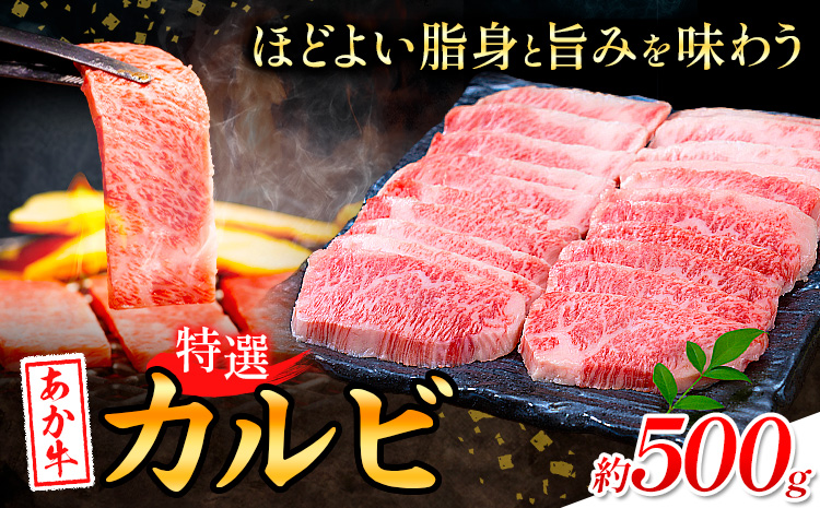 熊本あか牛 特選カルビ 約500g 合同会社たべたせいか《30日以内に出荷予定(土日祝除く)》熊本県 菊池市 肉 牛肉 お肉 和牛 あか牛 焼き肉 焼肉 やきにく BBQ バーベキュー 特選 カルビ 熊本県産 冷凍 送料無料