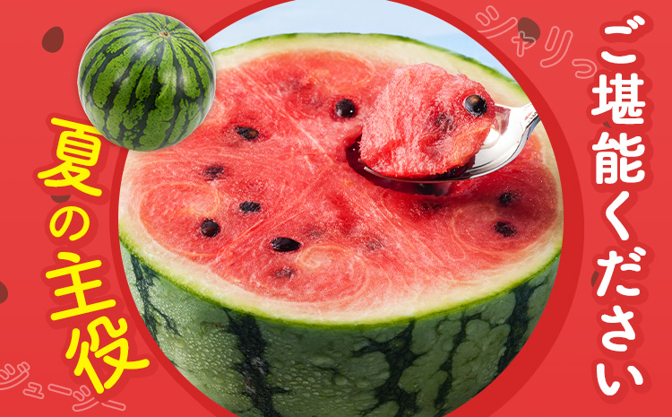 ãå
è¡äºçŽãã¹ã€ã« å°çããã ç§å 2ç çŽ 2kg ïœ 3kg L ïœ 3L æ··å æ ªåŒäŒç€ŸFoodyâs é£åœ©ããã¿ ã2026幎5æäžæ¬-7æäžæ¬é åºè·ã çæ¬ç èæ± åž ãã«ãŒã æç© ã¹ã€ã« ããã å°ç ä¹å·ç£ å·èµ éæç¡æ