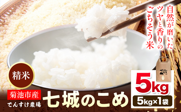 令和7年産 精米 七城のこめ 5kg《30日以内に出荷予定(土日祝除く)》熊本県 菊池市 米 白米 ヒノヒカリ でんすけ農場