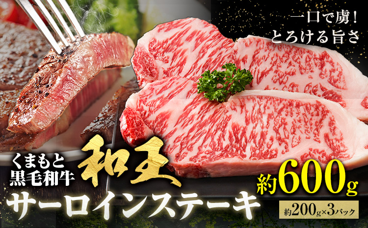 熊本和王 サーロインステーキ 約600g  1枚約200g ケーズフードマーケティング《90日以内に出荷予定(土日祝除く)》熊本県 菊池市 サーロイン ステーキ お肉 牛肉 和牛 くまもと黒毛和牛 和王 熊本県産 九州産 国産 冷凍 送料無料