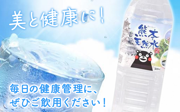 シリカ天然水 500ml×42本 株式会社Foody's《30日以内に出荷予定(土日祝除く)》熊本県 菊池市 シリカ水 飲料水 ミネラルウォーター 水 軟水 鉱水 ペットボトル