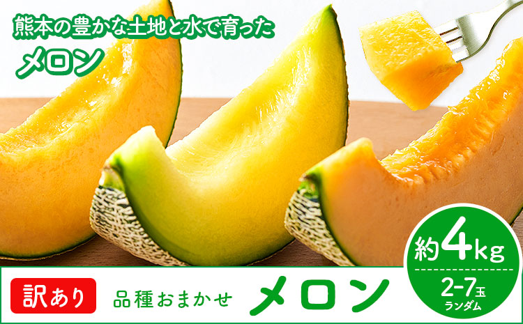 【先行予約】メロン 訳ありメロン 品種おまかせ 約4kg 2-7玉 ランダム 株式会社Foody’s 食彩たかみ《2026年5月下旬-7月下旬頃出荷》 おまかせ ご家庭用 メロン フルーツ 菊池市産 熊本県産 九州産 冷蔵 送料無料