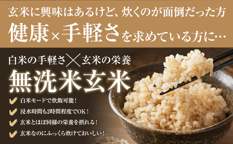 熊本県産 肥後米 無洗米 玄米 5kg 1袋5kg 米 お米 令和7年産 九州産 熊本県産 ブレンド米 送料無料《30日以内に出荷予定（土日祝除く）》玄米 無洗米 米