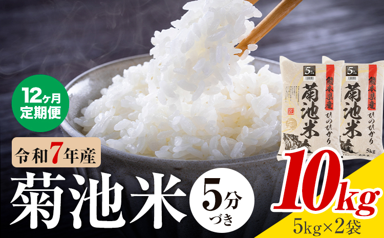 【12ヶ月定期便】令和7年産 熊本県産 菊池米 5分づき 10kg 1袋5kg 株式会社くまもとごはん 《お申込み翌月に出荷予定》米 お米 令和7年産 九州産 熊本県産  送料無料