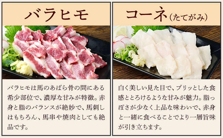 銬åºã 5çš® çãåãã ã»ãã èš250g 5人å çæ¬çŽé 赀身 ééã ãã¿ãšãŽ ãã©ã㢠ã³ãŒã æ ªåŒäŒç€ŸFoodyâsã30æ¥ä»¥å
ã«åºè·äºå®(忥ç¥é€ã)ãçæ¬ç èæ± åž éŠ¬åºã 銬è è ãè