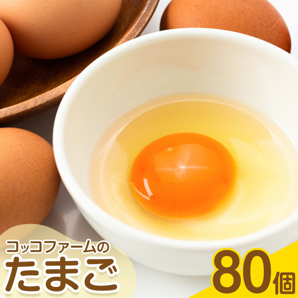 コッコファームのたまご 80個 コッコファーム《90日以内に出荷予定(土日祝除く)》熊本県 菊池市 卵 鶏卵 玉子 たまご 家庭用 熊本県産 九州産 冷蔵 送料無料