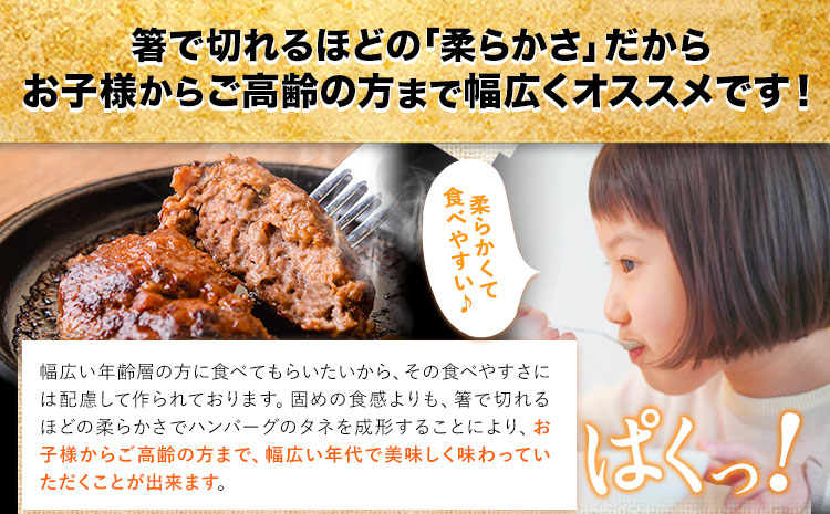 熊本県産あか牛100%生ハンバーグ 140g（13個入り）×2セット 合計3640g 3.64kg以上《30日以内に出荷予定(土日祝除く)》熊本県産あか牛 バイキングベーカリー 冷凍