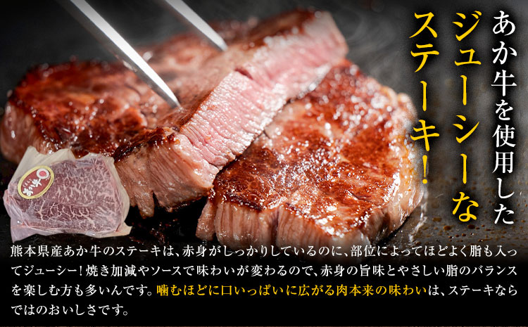 くまもとあか牛 ステーキ＆ハンバーグセット ステーキ2個 ハンバーグ4個 有限会社草佳苑《30日以内に出荷予定(土日祝除く)》熊本県 菊池市 肉 牛肉 お肉 和牛 あか牛 熊本県産 冷凍