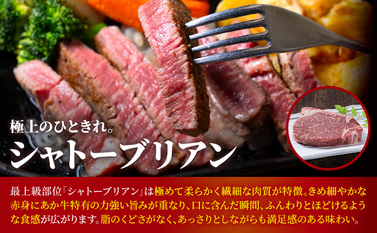 熊本あか牛 極上ステーキ 3品 セット 合計約4.2kg 3種類 サーロイン シャトーブリアン カイノミ 合同会社たべたせいか《30日以内に出荷予定(土日祝除く)》熊本県 菊池市 肉 牛肉 お肉 あか牛 ステーキ 希少部位 詰め合わせ 食べ比べ 熊本県産 冷凍 送料無料