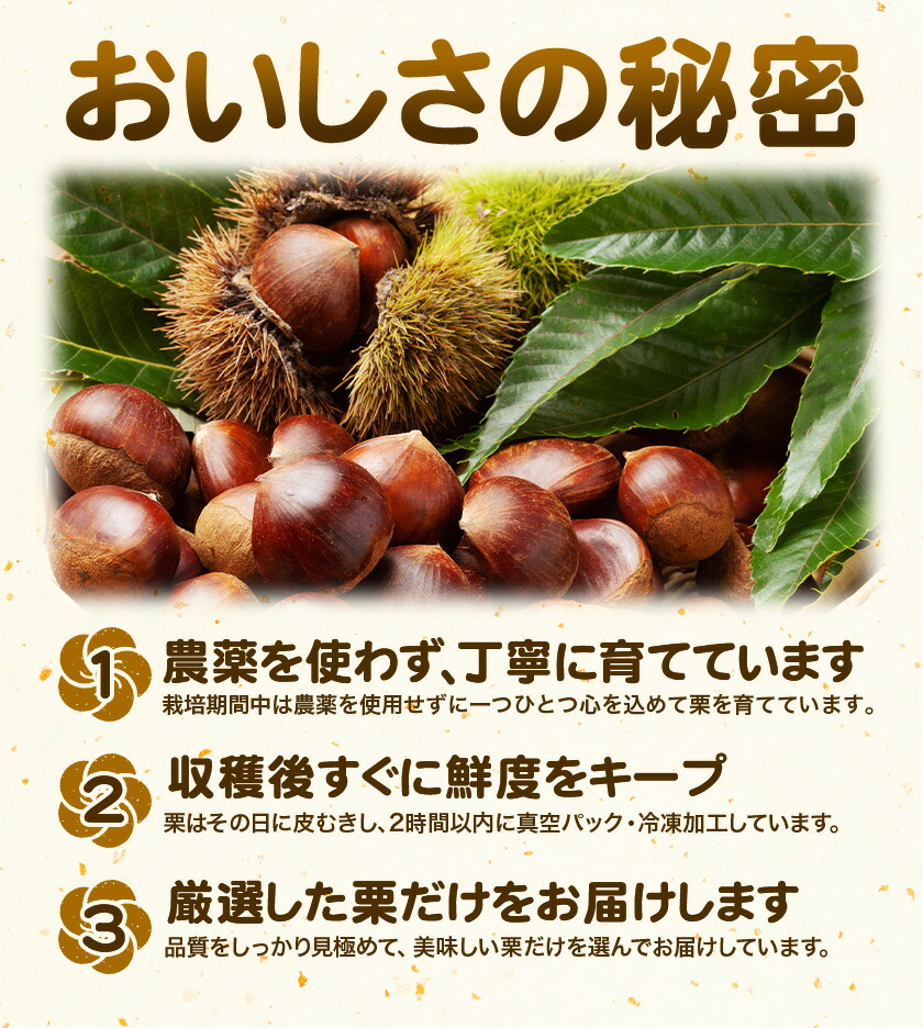 菊池水源産 さのまろん 冷凍剥き栗 内容量 約500g 農事組合法人菊池佐野《30日以内に出荷予定(土日祝除く)》熊本県 菊池市 栗 むき栗 筑波 冷凍 熊本県産 九州産 国産 送料無料