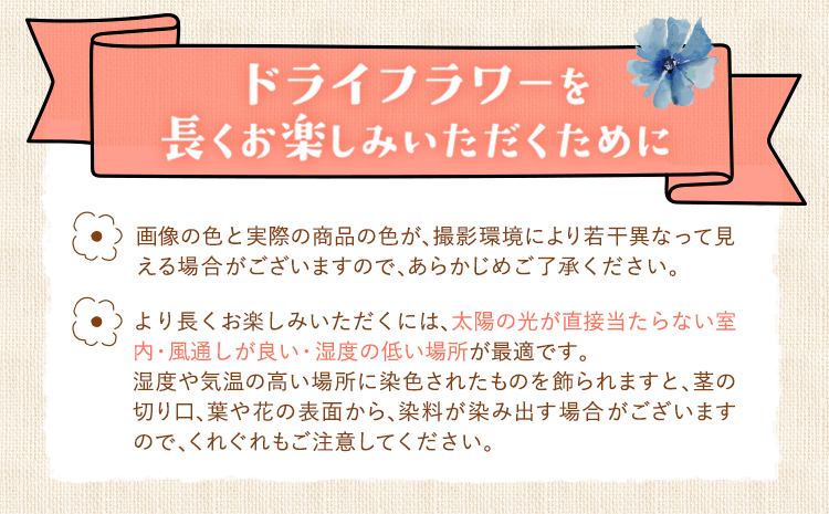 繝峨Λ繧、繝輔Λ繝ッ繝シ繧ケ繝ッ繝繧ー Standard 繝悶Ν繝シ 1譚 繝峨Λ繧、繝輔Λ繝ッ繝シ 繧ケ繝ッ繝繧ー 繝繧カ繧、繝ウ縺翫∪縺九○ 繝輔Λ繝ッ繝シ繧「繝ャ繝ウ繧ク 繧、繝ウ繝繝ェ繧「 闃ア 騾∵侭辟。譁吶90譌・莉・蜀縺ォ蜃コ闕キ莠亥ョ(蝨滓律逾晞勁縺)縲