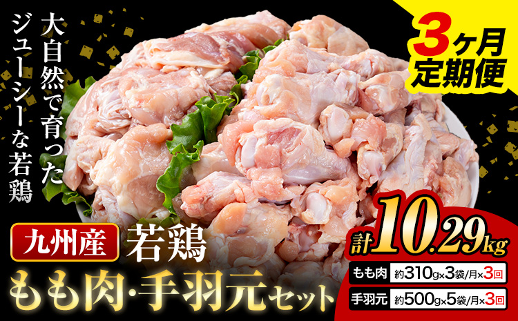 【3ヶ月定期便】 九州産 若鶏もも肉（310g×3袋）・手羽元（500g×5袋）セット 計3.43kg 鶏肉 お肉 モモ肉 もも肉 手羽先 2種類 小分け 冷凍 九州産 国産 熊本県 菊池市 送料無料《お申込み翌月から出荷》