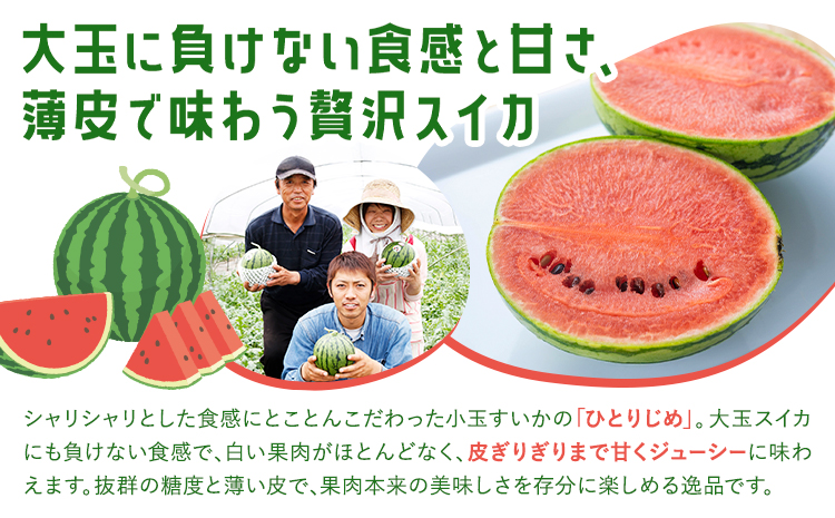 小玉スイカ 2玉【養生市場】 ひとりじめ 果物 フルーツ スイカ 西瓜 九州産 熊本県産 送料無料《2026年4月中旬-5月中旬頃出荷予定》【先行予約】