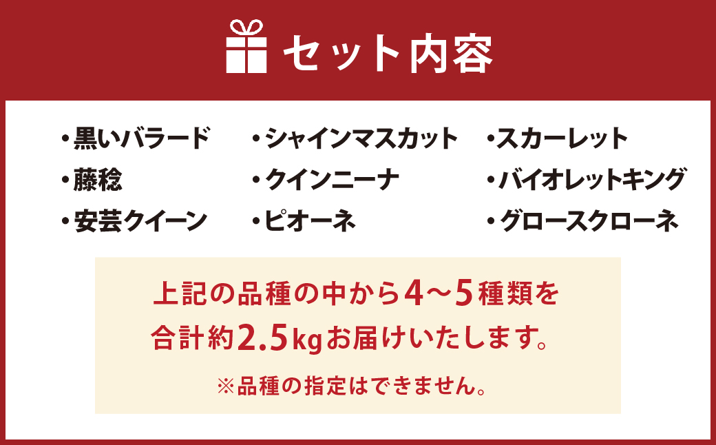 【8月上旬発送開始】なにが届くかお楽しみ 品種おまかせ こだわり ぶどう 約2.5kg 葡萄 マスカット