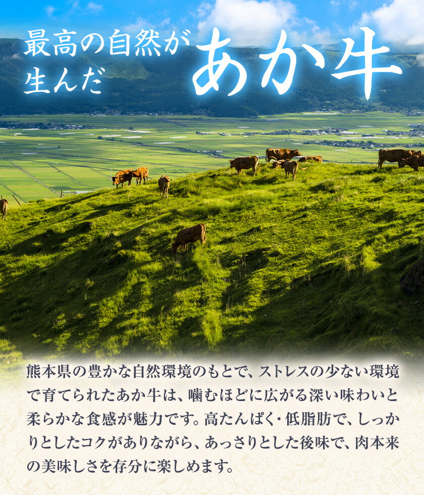 GI認証 くまもとあか牛 すき焼き用 切り落し 合計600g 300g×2パック あか牛 赤牛 牛肉 すき焼き 肉じゃが カレー 冷凍 国産 九州産 熊本県産 菊池市《30日以内に出荷(土日祝除く)》
