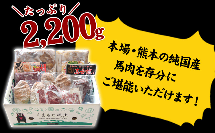 純国産馬肉8種セット 計2200g 《60日以内に出荷予定(土日祝除く)》 熊本肥育 2年連続農林水産大臣賞受賞 送料無料 馬刺し 馬肉 馬スジ ホルモン 燻製 霜降り ハンバーグ 熊本県 菊池市