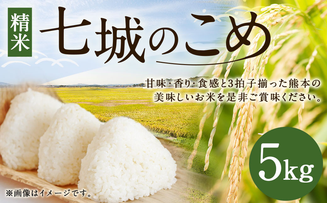 【令和6年産】 七城のこめ 精米 5kg ヒノヒカリ ひのひかり 白米 九州産 熊本県産