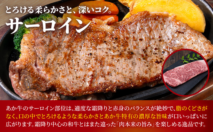 熊本あか牛 極上ステーキ 3品 セット 合計約4.2kg 3種類 サーロイン シャトーブリアン カイノミ 合同会社たべたせいか《30日以内に出荷予定(土日祝除く)》熊本県 菊池市 肉 牛肉 お肉 あか牛 ステーキ 希少部位 詰め合わせ 食べ比べ 熊本県産 冷凍 送料無料