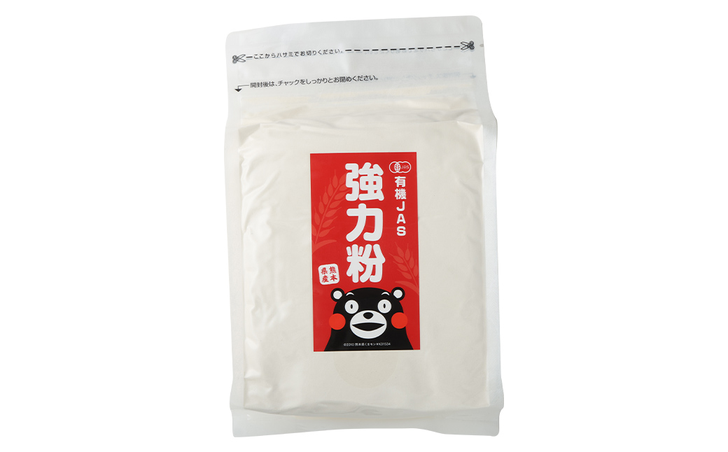 【6カ月定期】オーガニック 強力粉(小麦粉) 1kg×6回 合計6kg 熊本県産 菊池産 保存便利 チャック付袋 スタンド【パン専用】